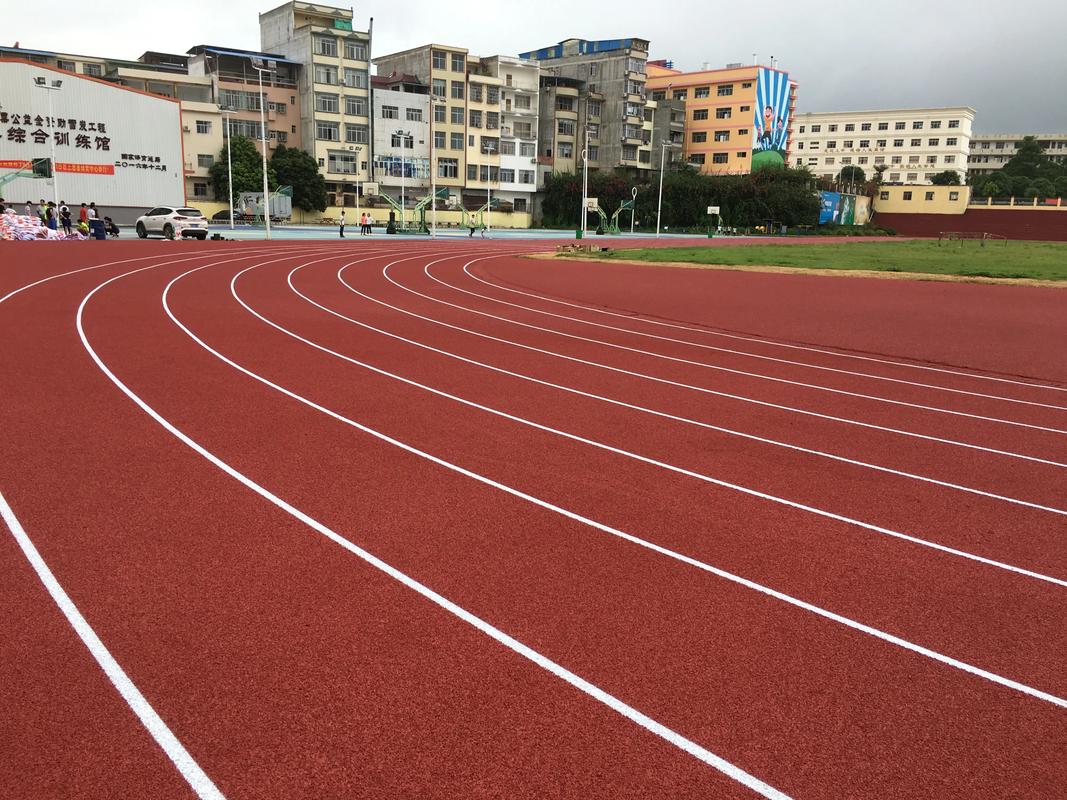 抚顺市硅PU材料塑胶跑道材料 - 价格